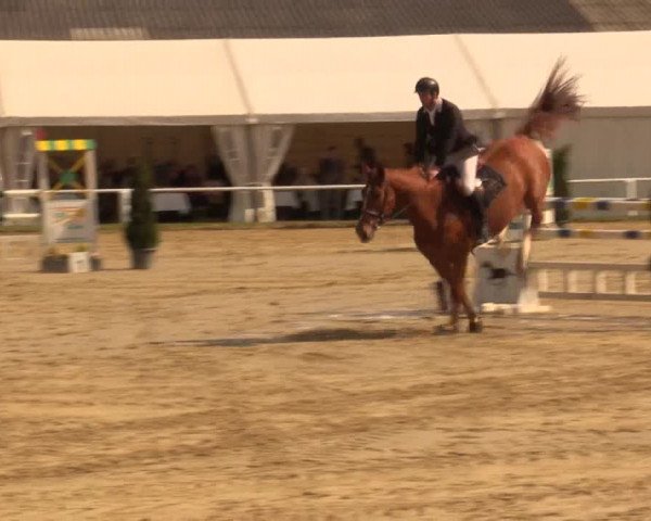 Reitturnier Bottrop 2016