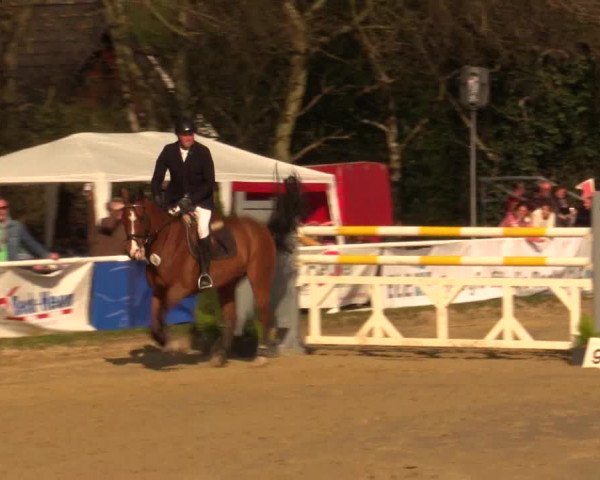 Reitturnier Bottrop 2016