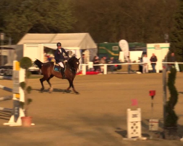 Reitturnier Bottrop 2016