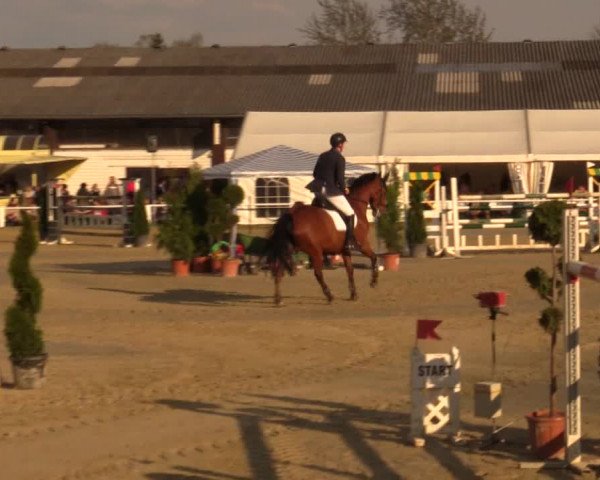 Reitturnier Bottrop 2016