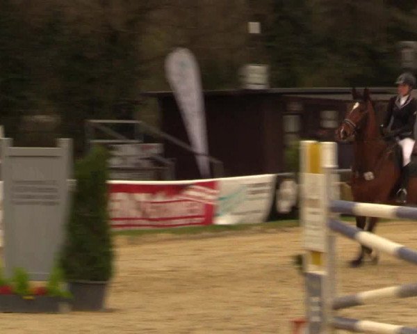 Reitturnier Bottrop 2016