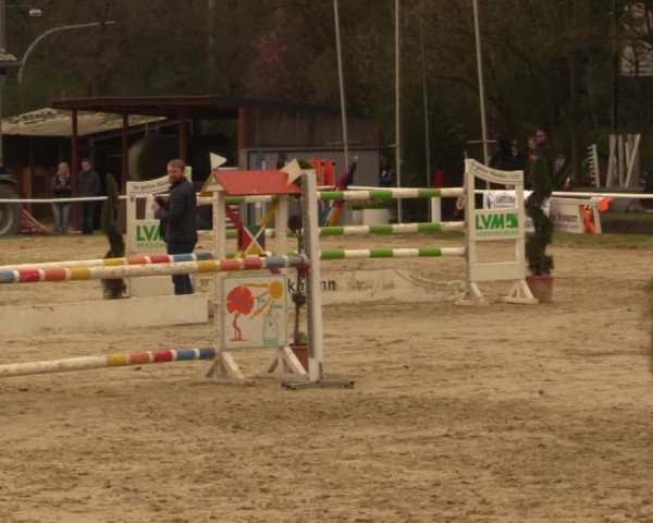 Reitturnier Bottrop 2016