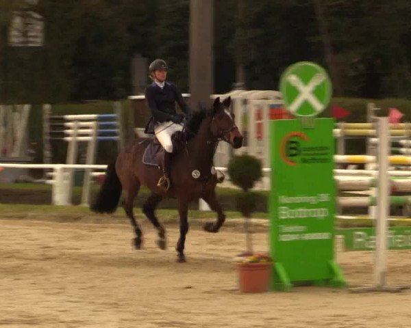 Reitturnier Bottrop 2016
