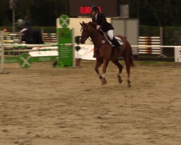 Reitturnier Bottrop 2016