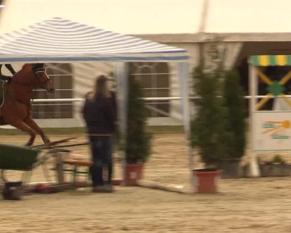 Reitturnier Bottrop 2016