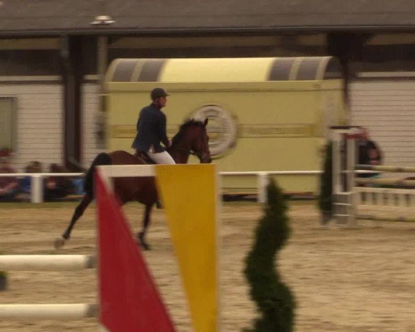 Reitturnier Bottrop 2016