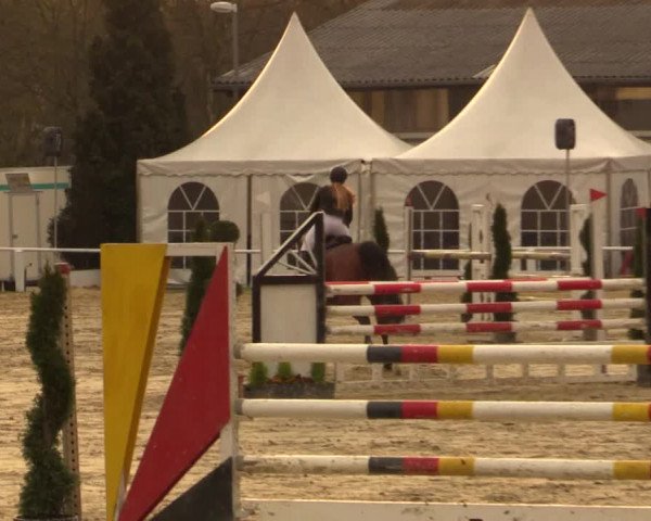 Reitturnier Bottrop 2016