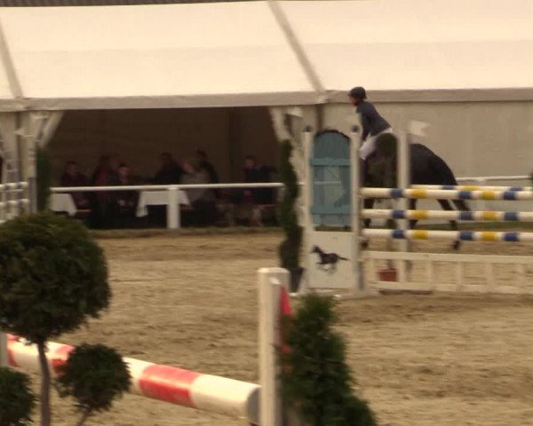 Reitturnier Bottrop 2016