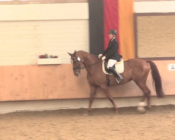 Reitturnier Bottrop 2016