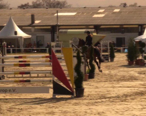 Reitturnier Bottrop 2016