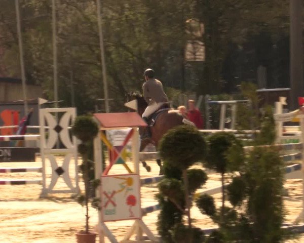 Reitturnier Bottrop 2016