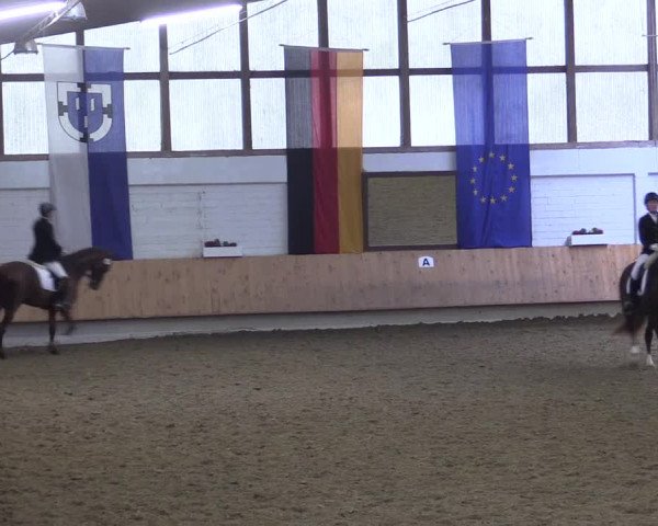 Reitturnier Bottrop 2016