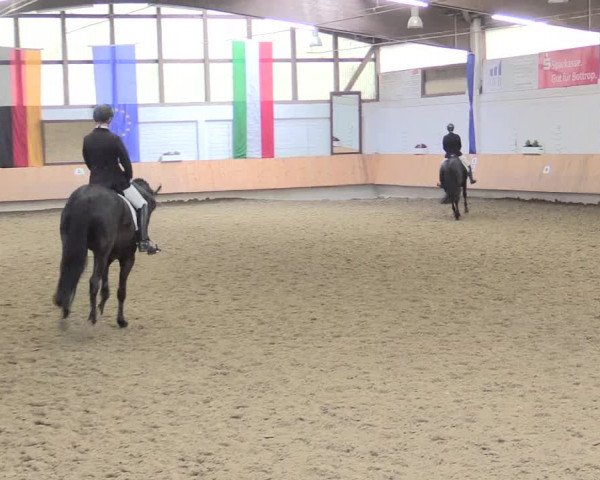 Reitturnier Bottrop 2016