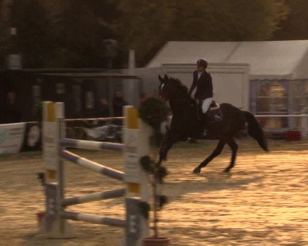 Reitturnier Bottrop 2016