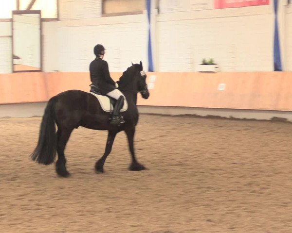 Reitturnier Bottrop 2016