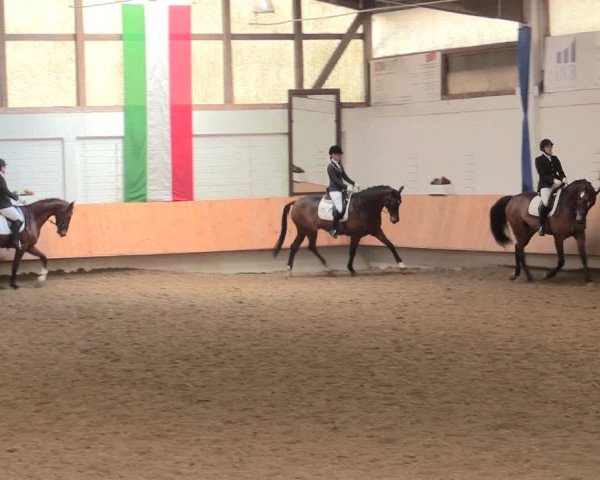 Reitturnier Bottrop 2016