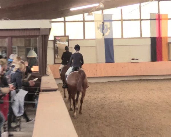 Reitturnier Bottrop 2016