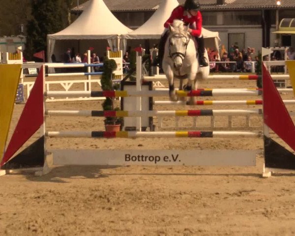 Reitturnier Bottrop 2016