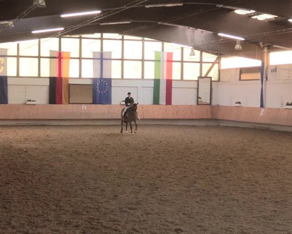 Reitturnier Bottrop 2016