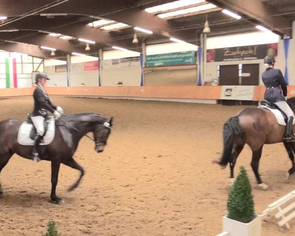 Reitturnier Bottrop 2016