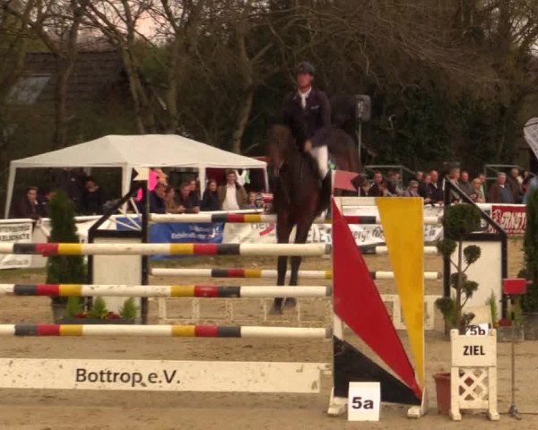 Reitturnier Bottrop 2016