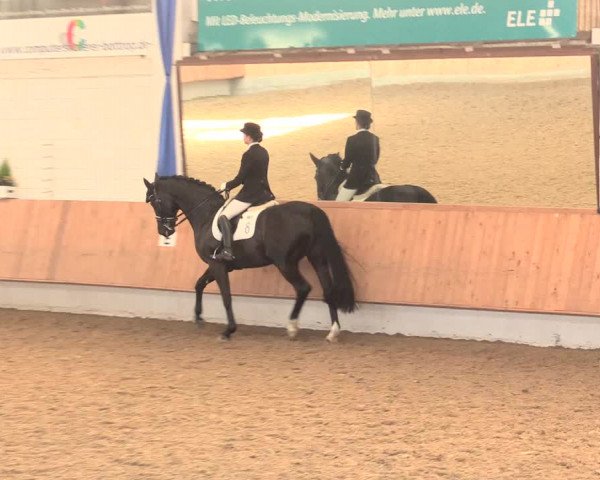 Reitturnier Bottrop 2016