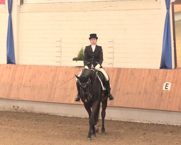 Reitturnier Bottrop 2016