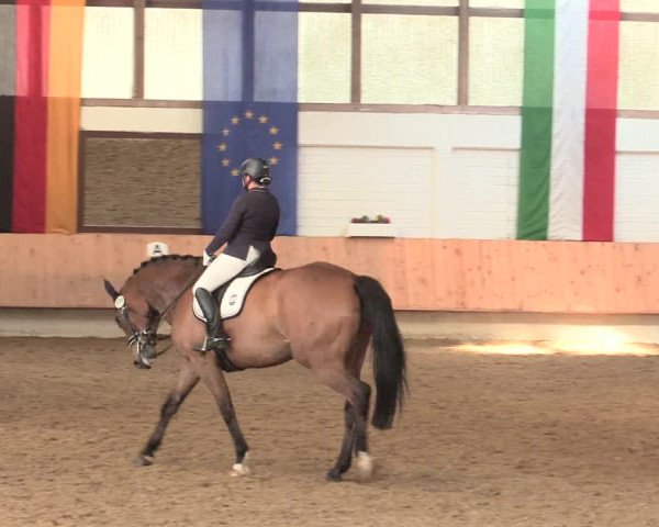 Reitturnier Bottrop 2016