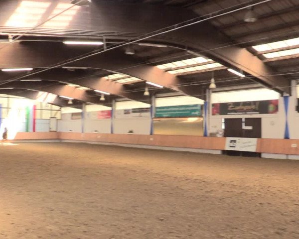 Reitturnier Bottrop 2016
