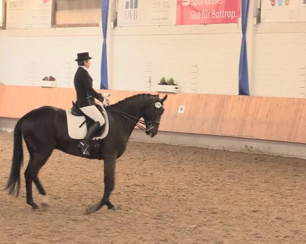 Reitturnier Bottrop 2016