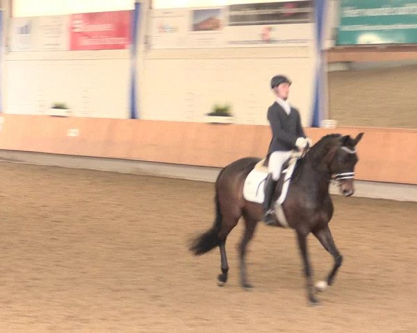 Reitturnier Bottrop 2016
