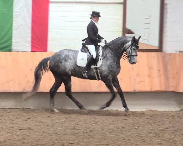 Reitturnier Bottrop 2016