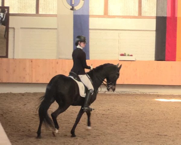 Reitturnier Bottrop 2016