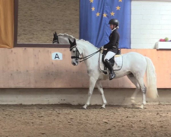 Reitturnier Bottrop 2016