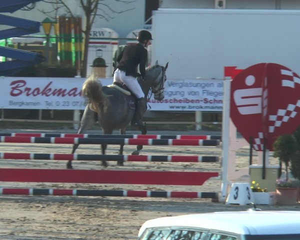 Lenklarer Reitertage 2016