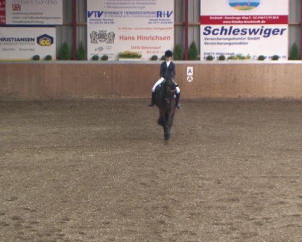 13. Behrendorfer Dressurfestival 2016