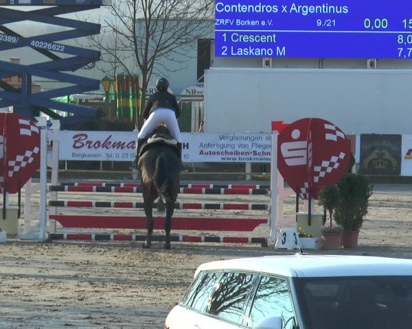 Lenklarer Reitertage 2016