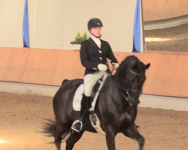 Reitturnier Bottrop 2016