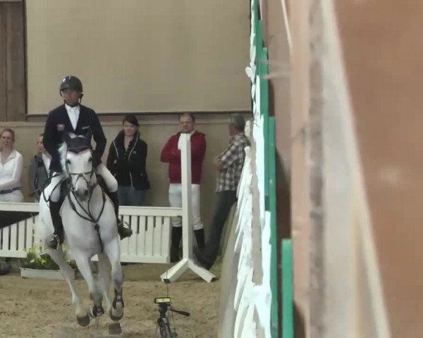 Hallenspringturnier Friedrichshafen-Ailingen 2016