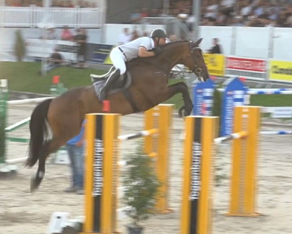 jumper Captain (Hanoverian, 2010, from Canstakko)
