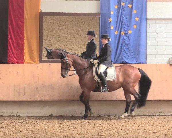 Reitturnier Bottrop 2016