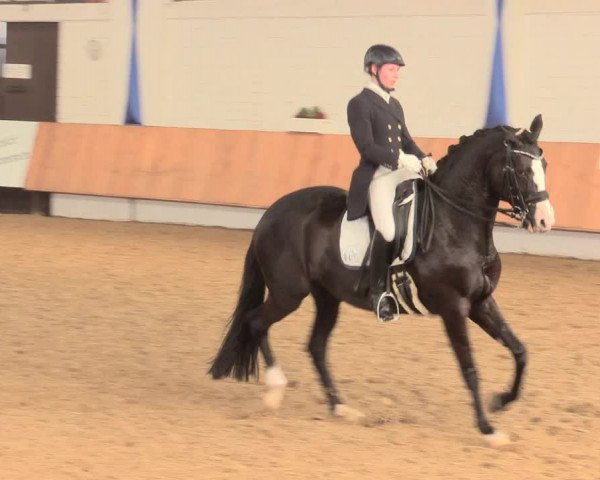 Reitturnier Bottrop 2016