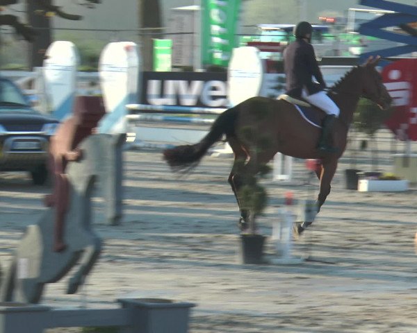 Lenklarer Reitertage 2016