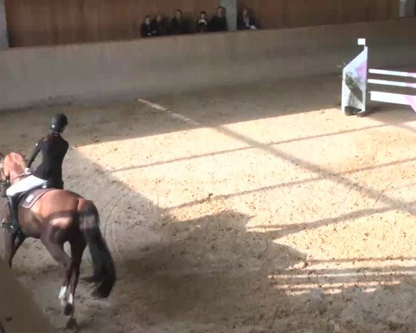 Hallenspringturnier Friedrichshafen-Ailingen 2016