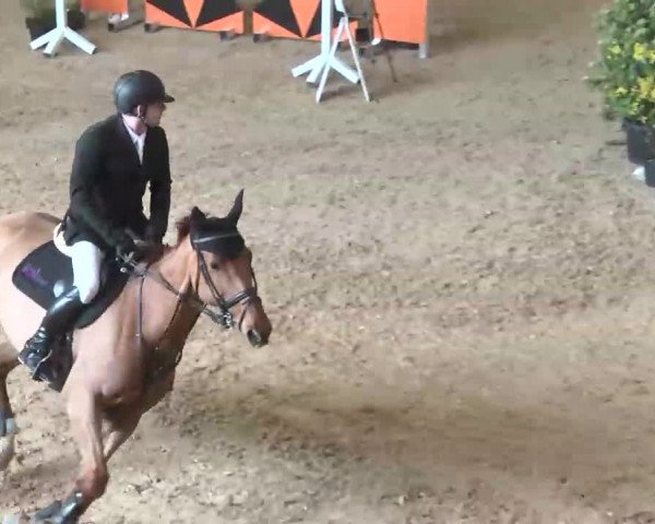 Hallenspringturnier Friedrichshafen-Ailingen 2016
