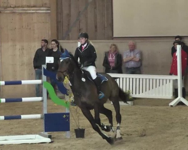 Hallenspringturnier Friedrichshafen-Ailingen 2016