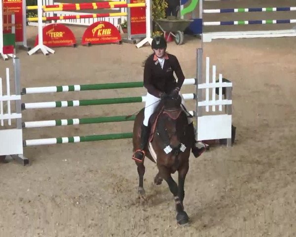 Hallenspringturnier Friedrichshafen-Ailingen 2016