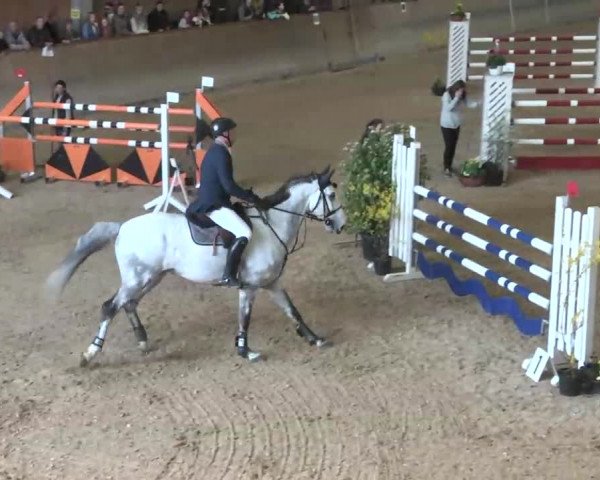 Hallenspringturnier Friedrichshafen-Ailingen 2016