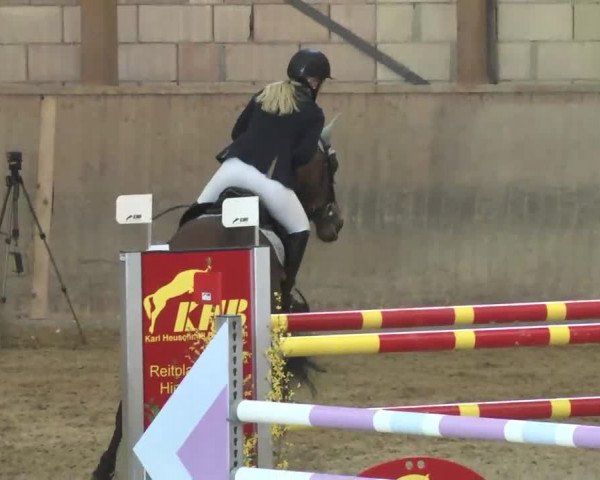 Hallenspringturnier Friedrichshafen-Ailingen 2016