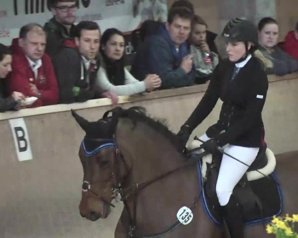 Hallenspringturnier Friedrichshafen-Ailingen 2016